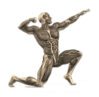 Orthopaedic rehabilitation - VC BioKinetics