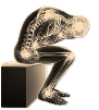 Health and well-being - VC BioKinetics