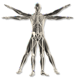 Natural non medicated treatment - VC BioKinetics