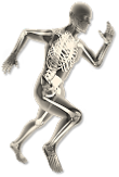 Strengthening musculoskeletal system - VC BioKinetics
