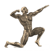 Orthopaedic rehabilitation - VC BioKinetics